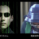 Image for article titled The Arrest of Japan's Most Wanted Troll Leads to Cute Cat Pic